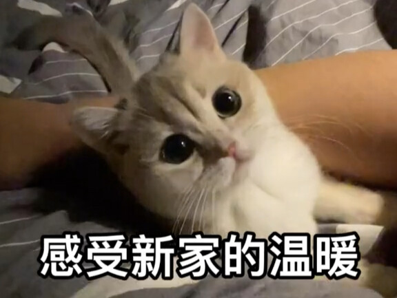 声明，我没抢我儿子的女朋友