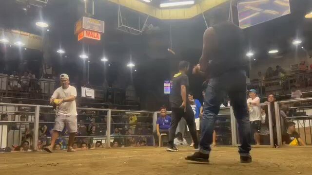 pang harang kono nila na talisayin.,,ginawang sangkalan ng raptor kuba ng MGJR_GF💪🐓👊