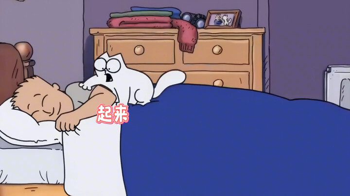 Con mèo Hà Nam của Simon