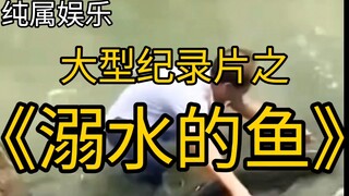 [Touching] A 70-year-old man risked his life to save a fish, so touching!