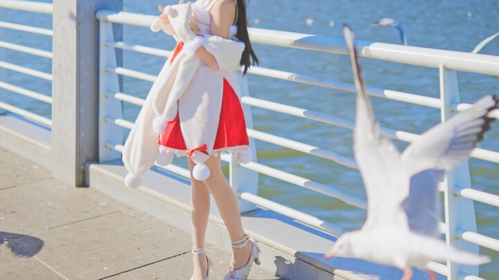 Đến ngắm hải âu thôi!