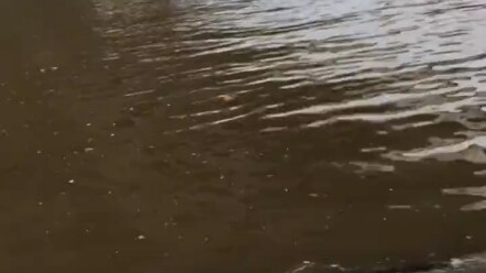 هل مياه الشرب في كندا، والتي تلبي معايير السلامة، آمنة للشرب حقًا؟