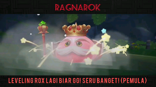 Leveling RöX lagi biar GG! seru banget! (pemula)