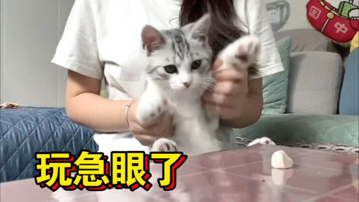 Why did the freeze-dried food bounce up when I kicked it?