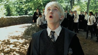 [Harry Potter/GGAD/Mixed Cut] The spring breeze of reform is blowing everywhere [Although it is late