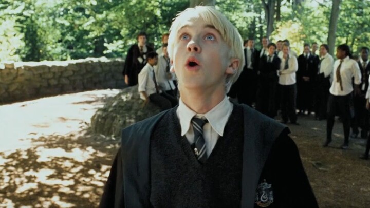 [Harry Potter/GGAD/Mixed Cut] The spring breeze of reform is blowing everywhere [Although it is late