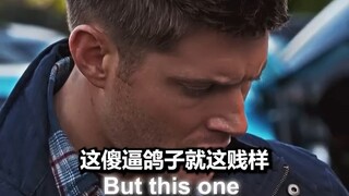 假如你能听懂所有动物说话
