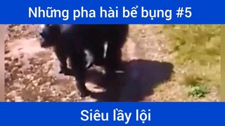 Những pha hài bể bụng p5