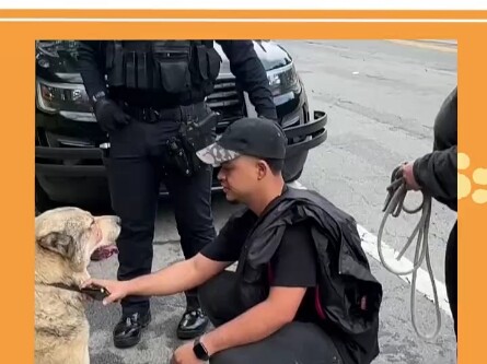 Hóa ra Luật Bảo vệ Động vật của Châu Âu có quá nhiều thủ đoạn. Chẳng trách nước tôi chậm ban hành Lu