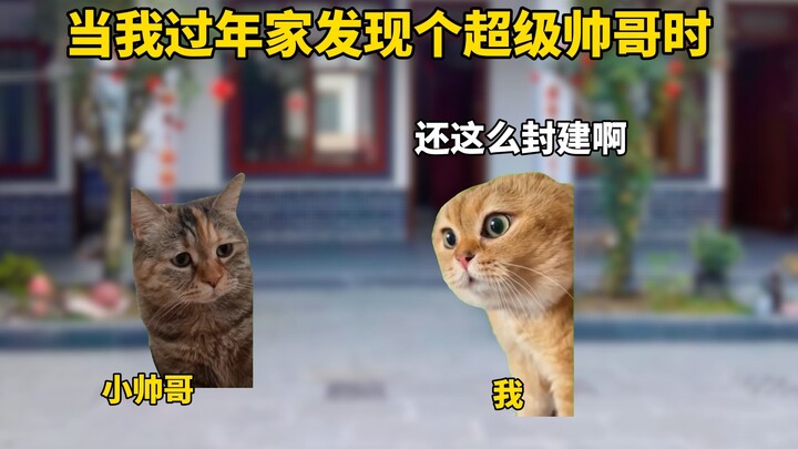 当我过年家发现个超级帅哥时