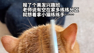 Bagian belakang biasa saja, bagian depan luar biasa...