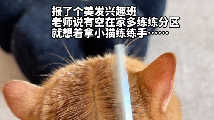 The back side is just so-so, but the front side is amazing...