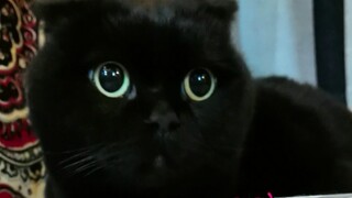 แชร์วิดีโอเต็มความยาวให้พวกคุณแล้ว!