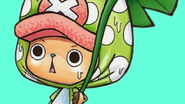 cute chopper ❤️