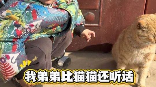 Kakak: Adikku lebih patuh daripada kucing! Adik: Aku merasa diriku luar biasa kuat!