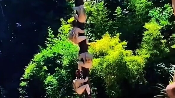 นี่มันน่าอึดอัดเลยนะ