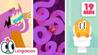 ALL ABOUT POO 💩✨ What is DIGESTION? + More Lingokids Cartoons for Kids