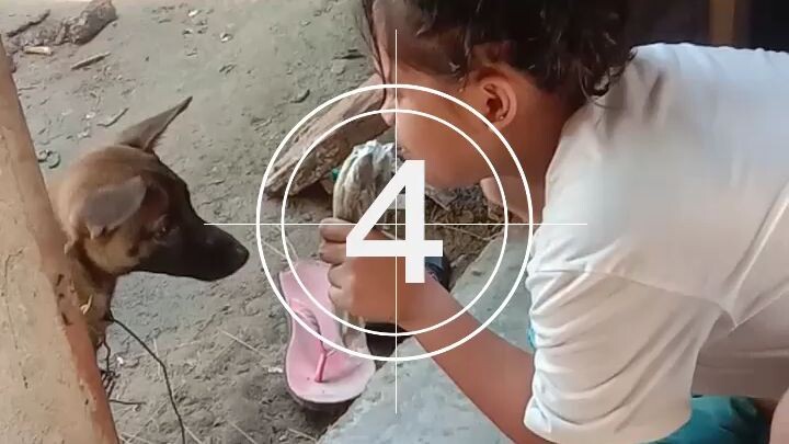 noong etenry mong itali ung aso tas nakawala sa kadina at galit na galit na ung isa sa amo.