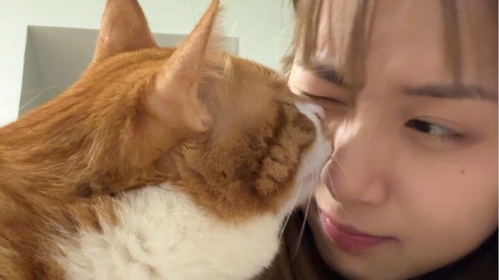 Anak baik akan menjilat kotoran mata ibunya.