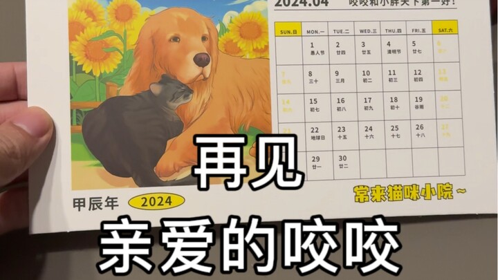 Goodbye, dear little housekeeper Yaoyao...