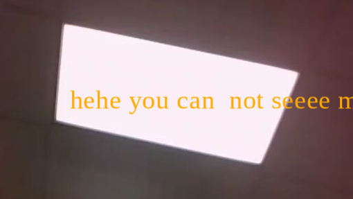 03a58e53-3a5e-4169-ab74-506101f11186