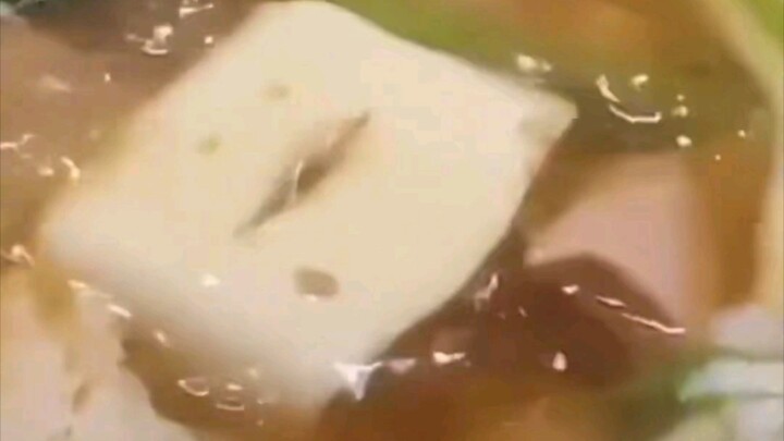 Ngay cả miếng đậu phụ còn beatbox hay hơn bạn đấy!