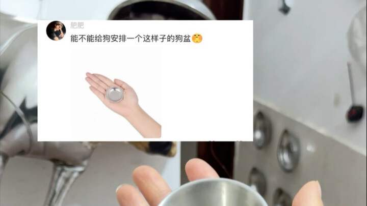 狗：谁见过这么小的狗盆？