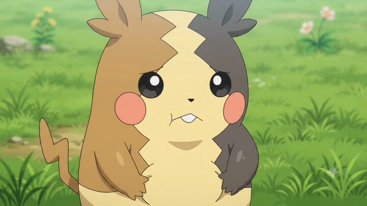 new pokemon on september