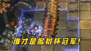 【娱乐测试】哪些干员能单清 突袭“树墙”×25 决战群伤之巅！