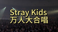 【Stray Kids】《Stray Kids》万人大合唱,不是这谁能不哭我请问呢