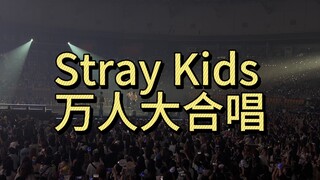 【Stray Kids】《Stray Kids》万人大合唱，不是这谁能不哭我请问呢