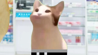 医生，我该吃点什么补补身体呢