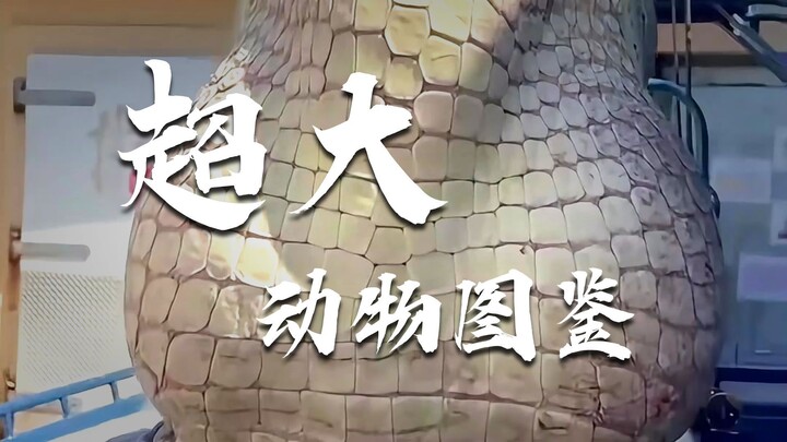 สัตว์เหล่านั้นที่มีขนาดใหญ่กว่าที่เราคิดไว้มาก