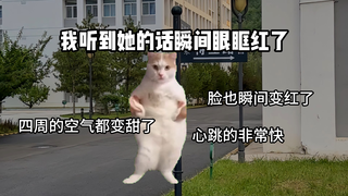 Người bạn cùng bàn đáng yêu của tôi mang kẹo cho tôi mỗi ngày, nhưng...