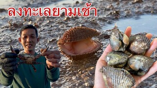คลิปแรกของปี พาเที่ยวทะเลสวยๆยามเช้าหาเมนูกับครอบครัวจ้า