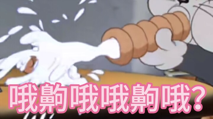 雌小鬼鼠和大姐姐猫？？！
