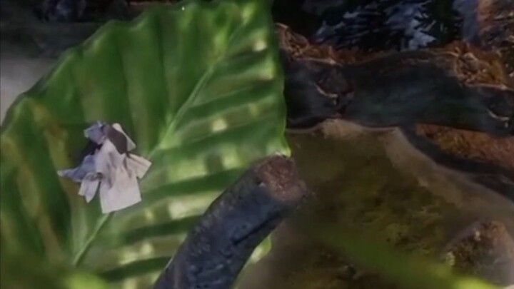 Quote Jalani Nikmati Syukuri