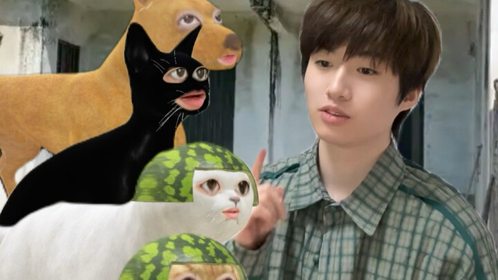 A mouse pretends to be a cat and falls in love with a real cat.