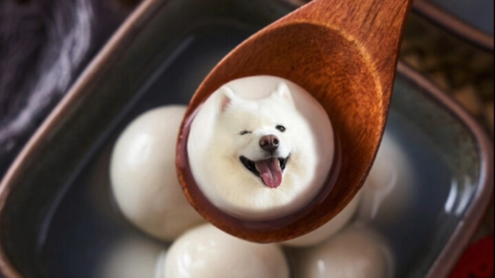 Today’s Lantern Festival: Treat Big Bro and Big Sis to the Cutest Tangyuan!