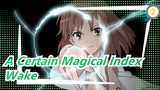 [A Certain Magical Index] A "Wake" Takes You to Feel the Charm of Magical Index & Railgun!!!_2