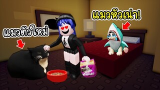 พี่นิวมีแมวตัวใหม่..เหมียวชาร์คเลยกลายเป็นแมวหัวเน่า! | Roblox Buy food to feed your cat