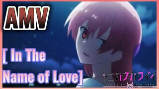 [In The Name of Love] AMV