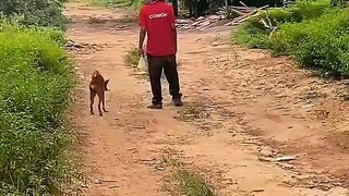 Phải có 1 đứa tỉnh để biết đường về chứ, này cả hai điều xỉn mò về hơi lâu à 🤣