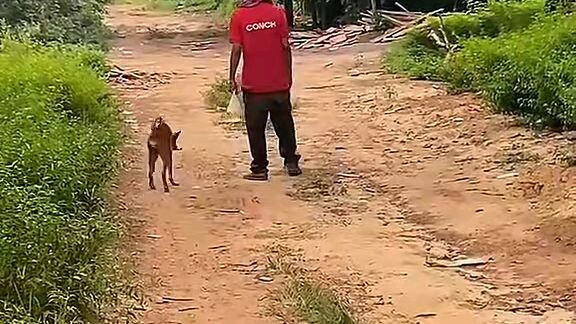 Phải có 1 đứa tỉnh để biết đường về chứ, này cả hai điều xỉn mò về hơi lâu à 🤣