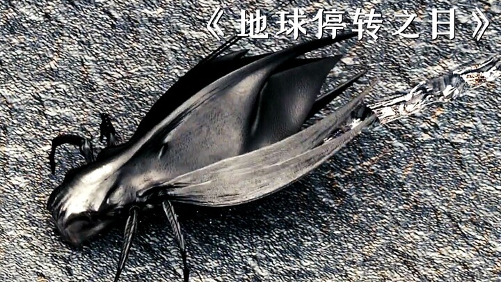 Alien bugs invade Earth, reducing everything in their path to ashes! Sci-fi movie.