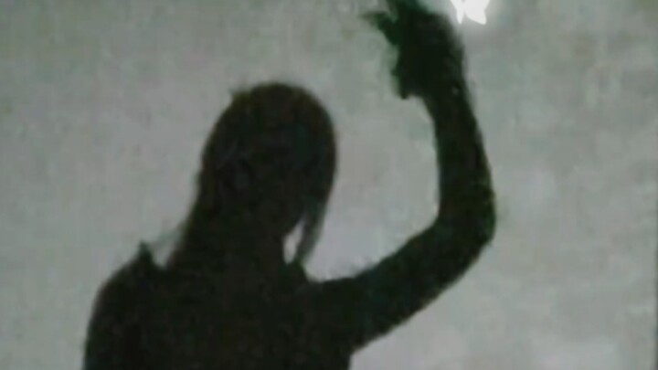 山茶花读不懂白玫瑰    北山的风吹不到南山尾