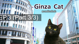 แนะนำ 😍 GINZA CAT แมวเหมียวกินซ่า ⭐ พากย์ไทย EP3_3
