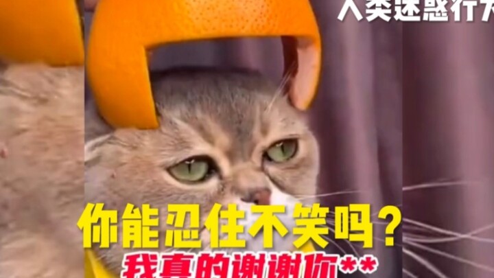 【Mỗi ngày một lần, phòng chống trầm cảm】Những khoảnh khắc bối rối của con người: Bạn có nhịn được kh