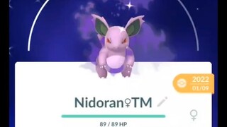 Pokémon GO-Evolving Shiny Shadow Nidorina