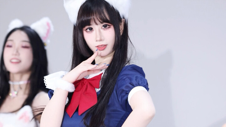 【Bước chân mèo nhẹ nhàng】Công chúa siêu dễ thương cắt tóc cho mèo con